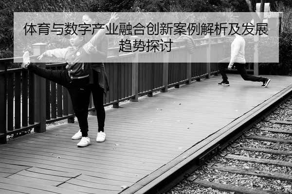ti-yu-yu-shu-zi-chan-ye-rong-he-chuang-xin-an-li-jie-xi-ji-fa-zhan-qu-shi-tan-tao-2-625.jpg