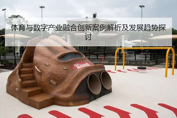 体育与数字产业融合创新案例解析及发展趋势探讨